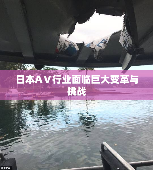 日本AⅤ行业面临巨大变革与挑战