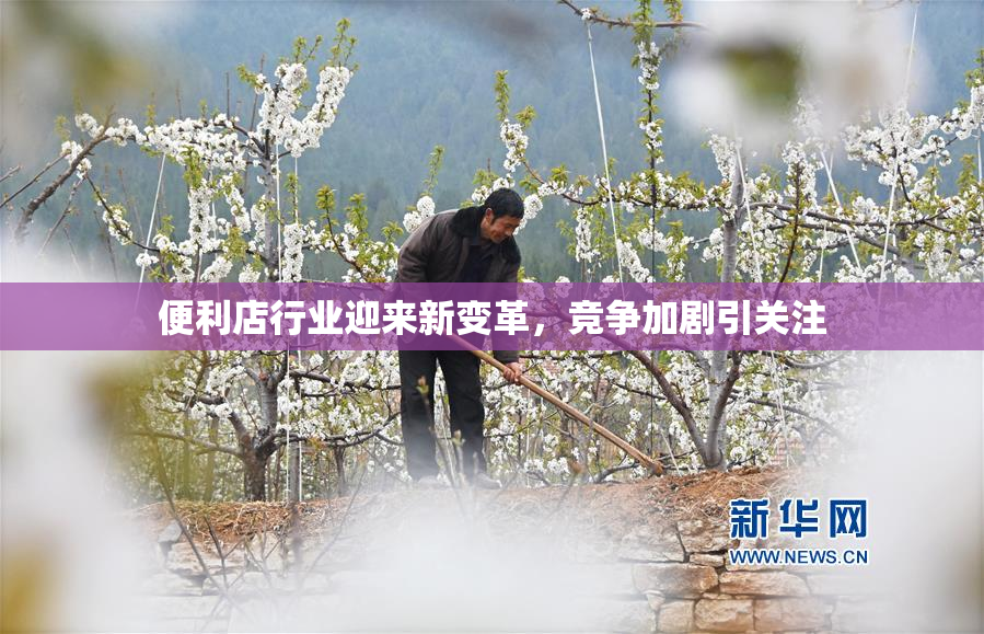 便利店行业迎来新变革，竞争加剧引关注