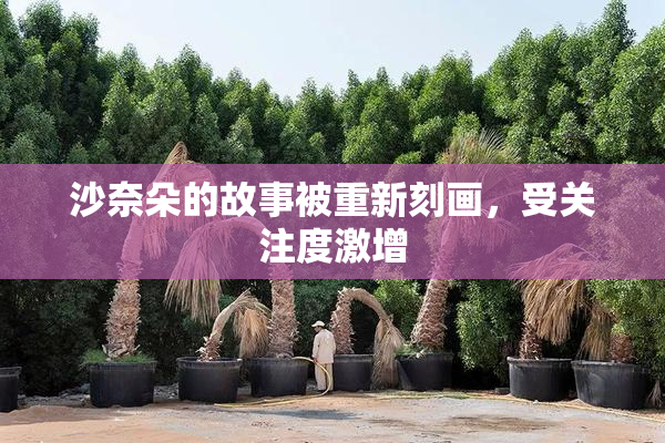 沙奈朵的故事被重新刻画，受关注度激增