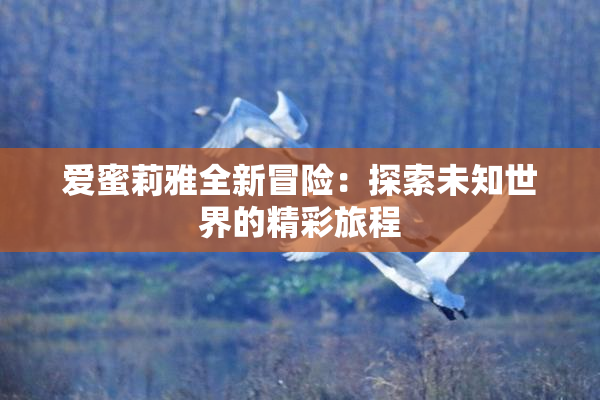 爱蜜莉雅全新冒险：探索未知世界的精彩旅程