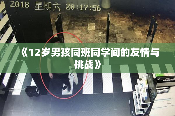 《12岁男孩同班同学间的友情与挑战》