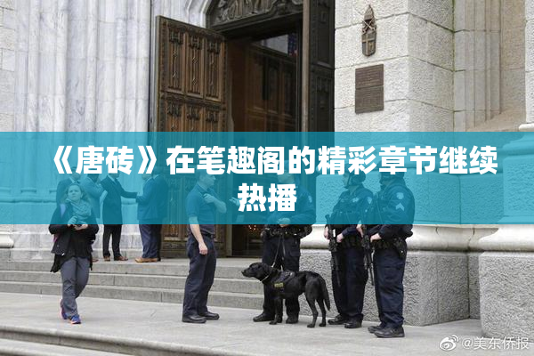 《唐砖》在笔趣阁的精彩章节继续热播