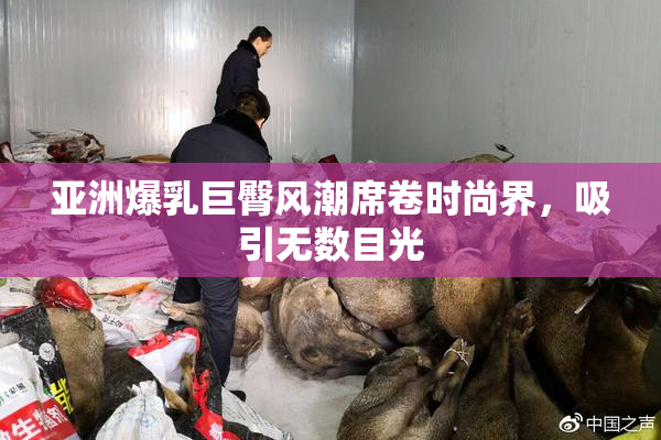 亚洲爆乳巨臀风潮席卷时尚界，吸引无数目光