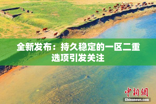 全新发布：持久稳定的一区二重选项引发关注
