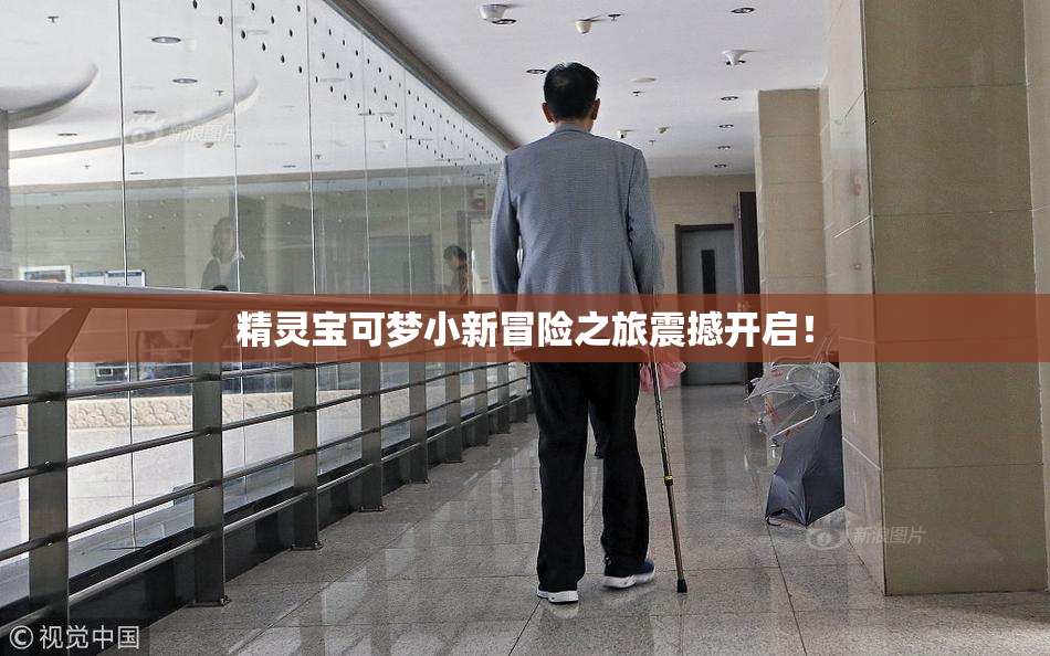精灵宝可梦小新冒险之旅震撼开启！