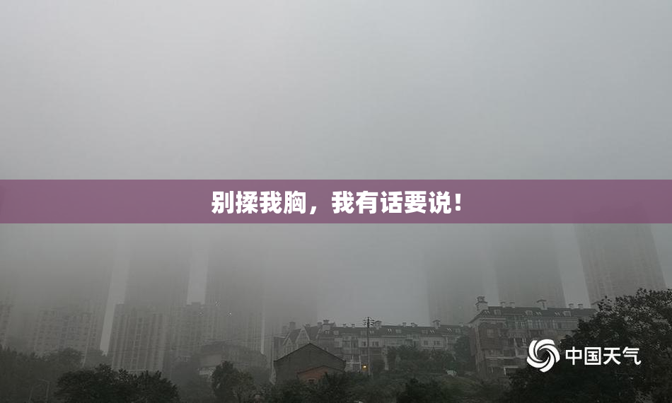 别揉我胸，我有话要说！
