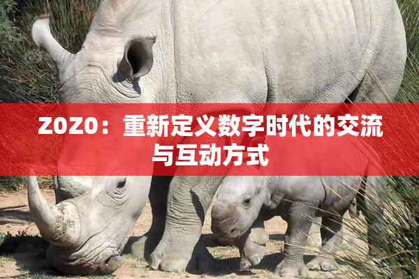Z0Z0：重新定义数字时代的交流与互动方式