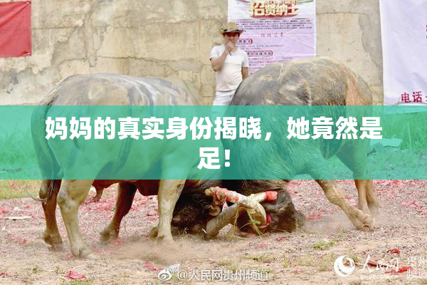 妈妈的真实身份揭晓，她竟然是足！
