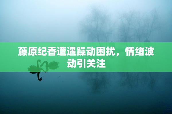 藤原纪香遭遇躁动困扰，情绪波动引关注