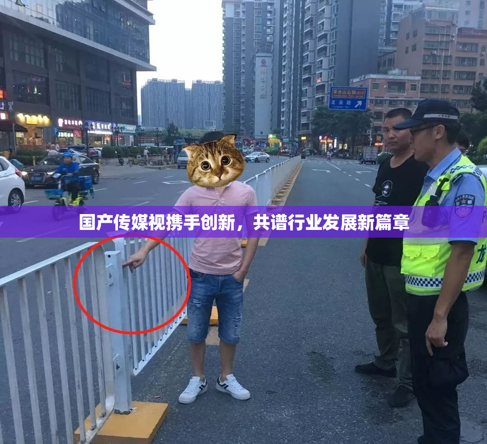 国产传媒视携手创新，共谱行业发展新篇章
