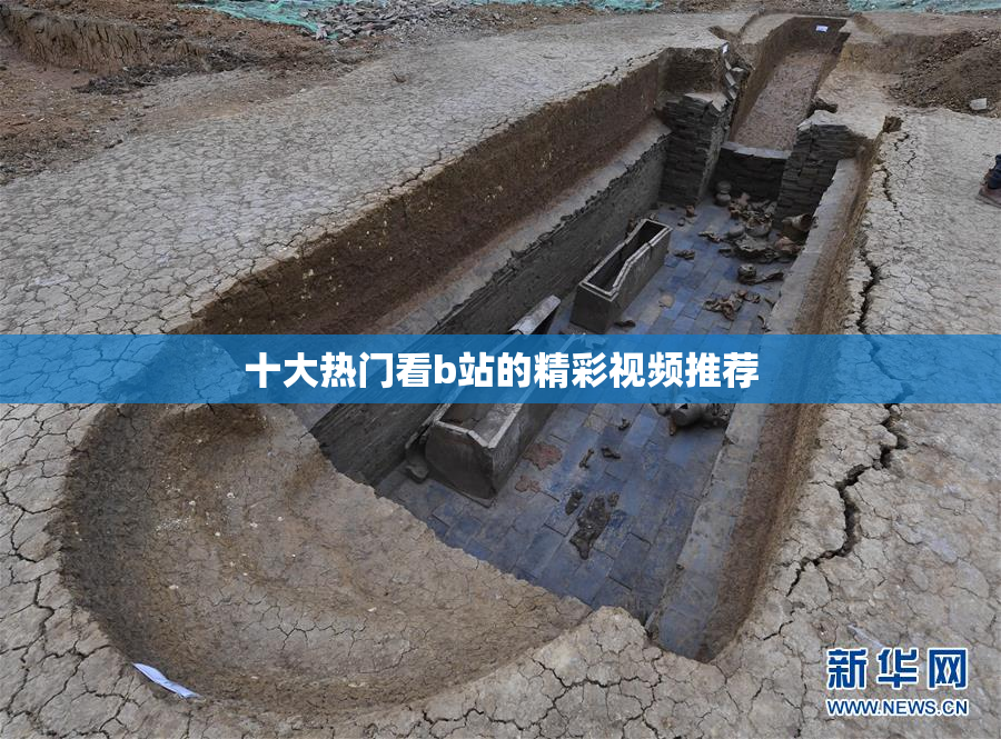 十大热门看b站的精彩视频推荐