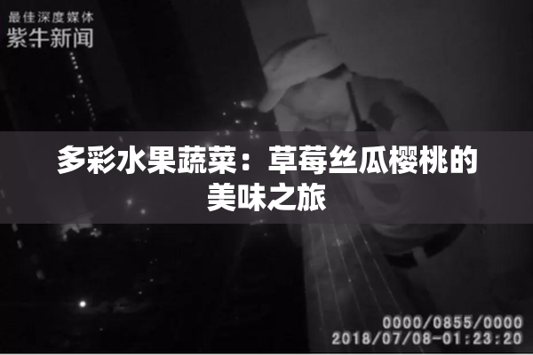 多彩水果蔬菜：草莓丝瓜樱桃的美味之旅