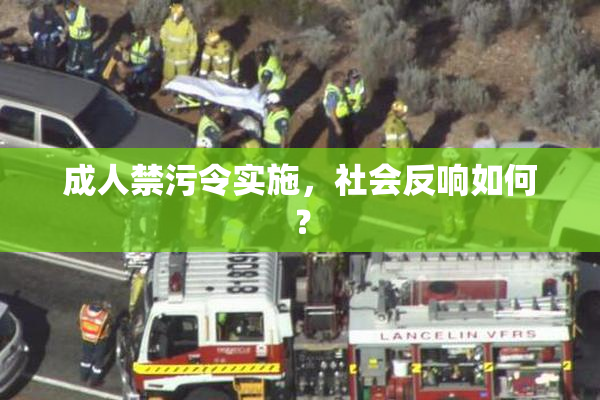 成人禁污令实施，社会反响如何？
