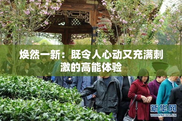 焕然一新：既令人心动又充满刺激的高能体验