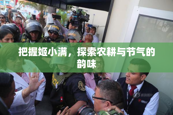 把握姬小满，探索农耕与节气的韵味