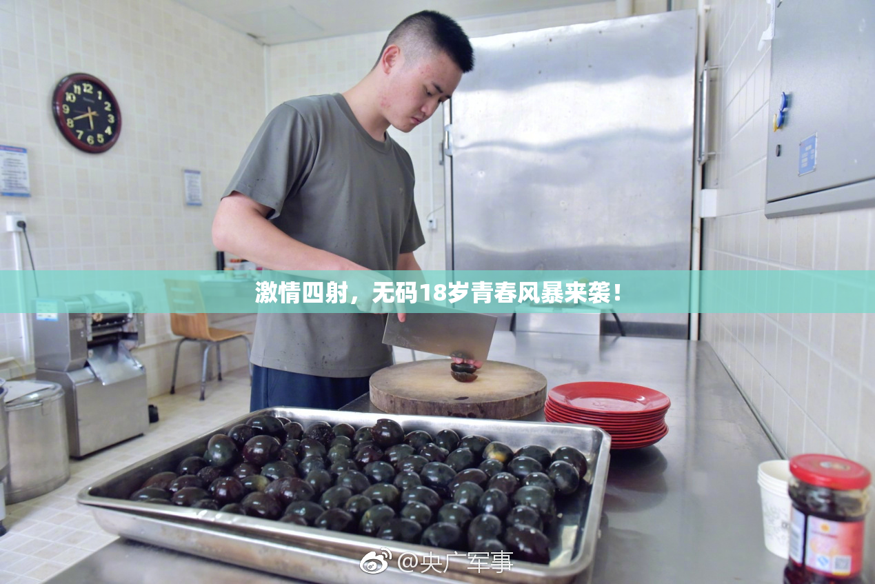 激情四射，无码18岁青春风暴来袭！