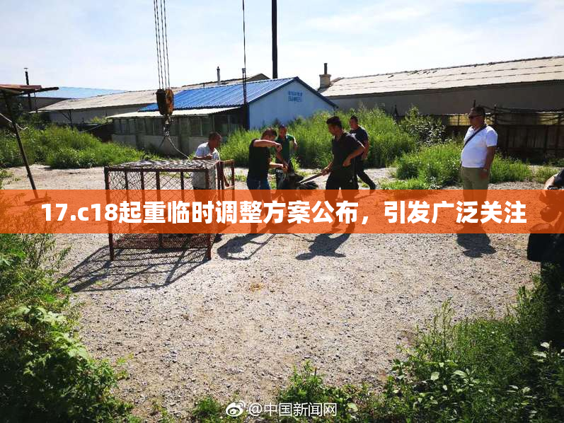 17.c18起重临时调整方案公布，引发广泛关注