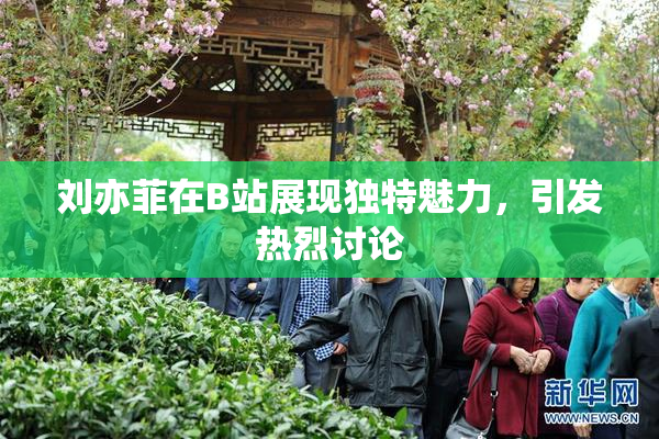 刘亦菲在B站展现独特魅力，引发热烈讨论