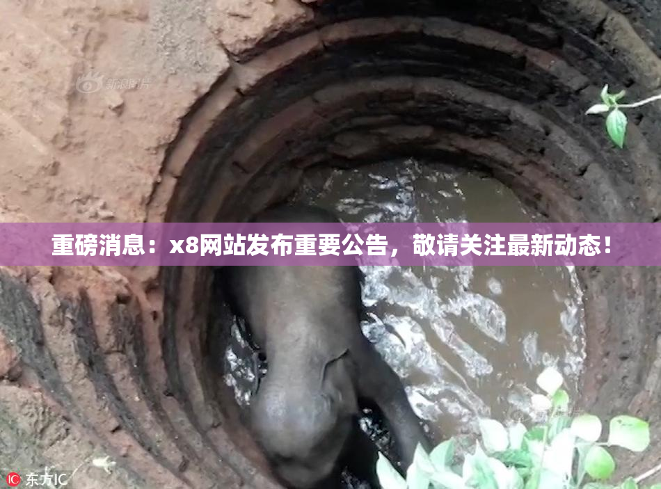 重磅消息：x8网站发布重要公告，敬请关注最新动态！