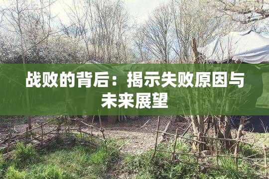 战败的背后：揭示失败原因与未来展望