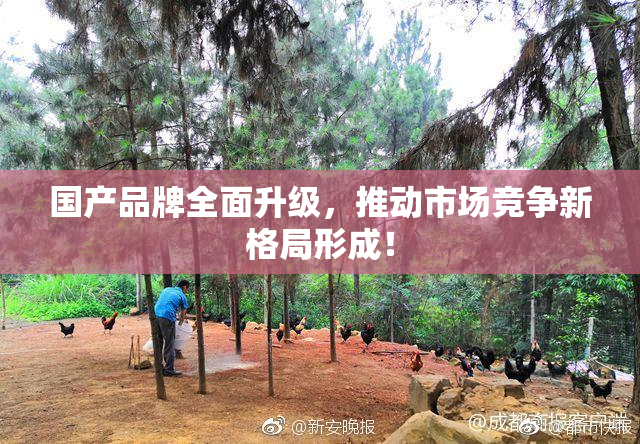 国产品牌全面升级，推动市场竞争新格局形成！