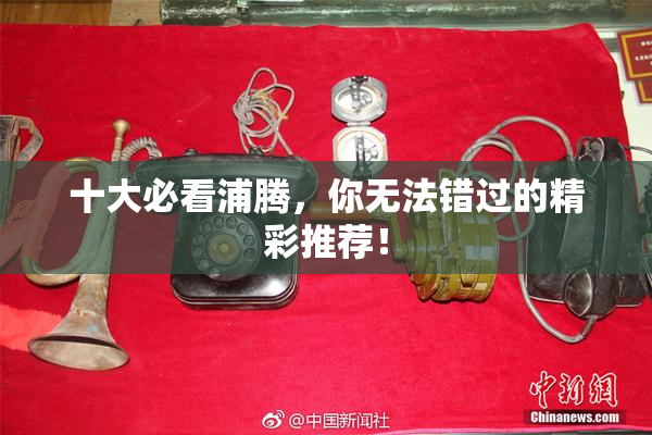 十大必看浦腾，你无法错过的精彩推荐！