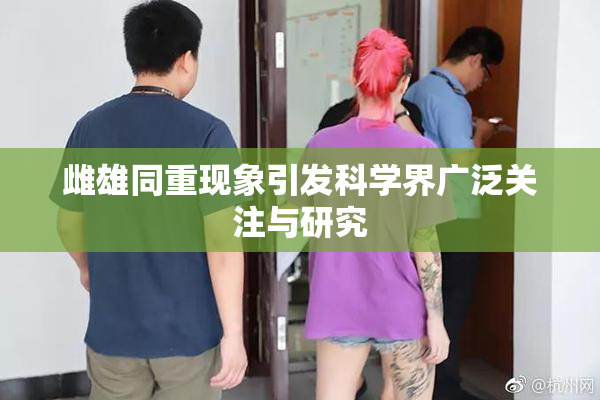 雌雄同重现象引发科学界广泛关注与研究