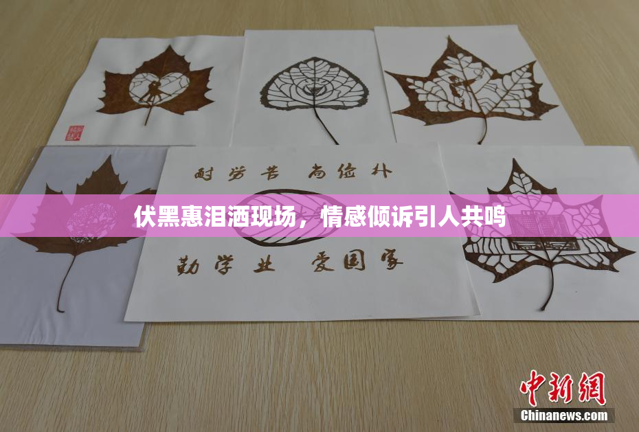 伏黑惠泪洒现场，情感倾诉引人共鸣