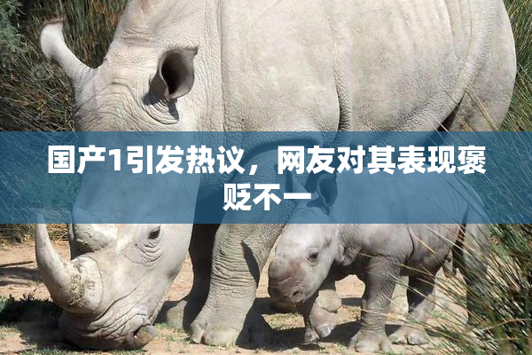 国产1引发热议，网友对其表现褒贬不一