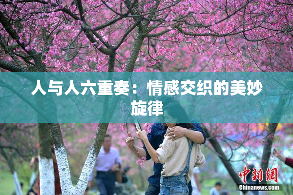 人与人六重奏：情感交织的美妙旋律