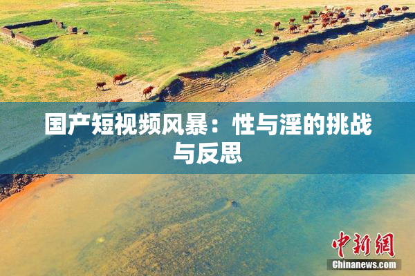 国产短视频风暴：性与淫的挑战与反思
