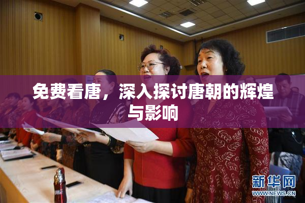 免费看唐，深入探讨唐朝的辉煌与影响