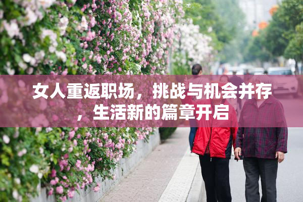 女人重返职场，挑战与机会并存，生活新的篇章开启