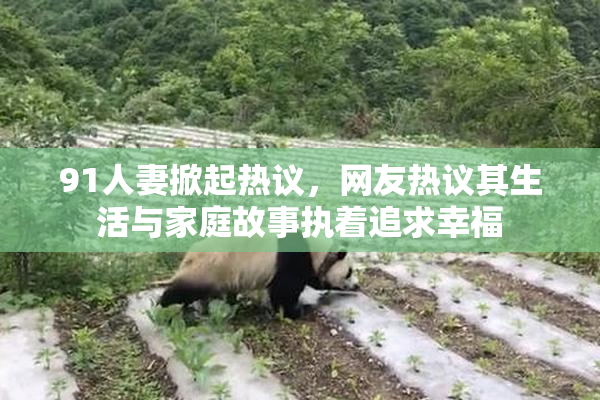 91人妻掀起热议，网友热议其生活与家庭故事执着追求幸福