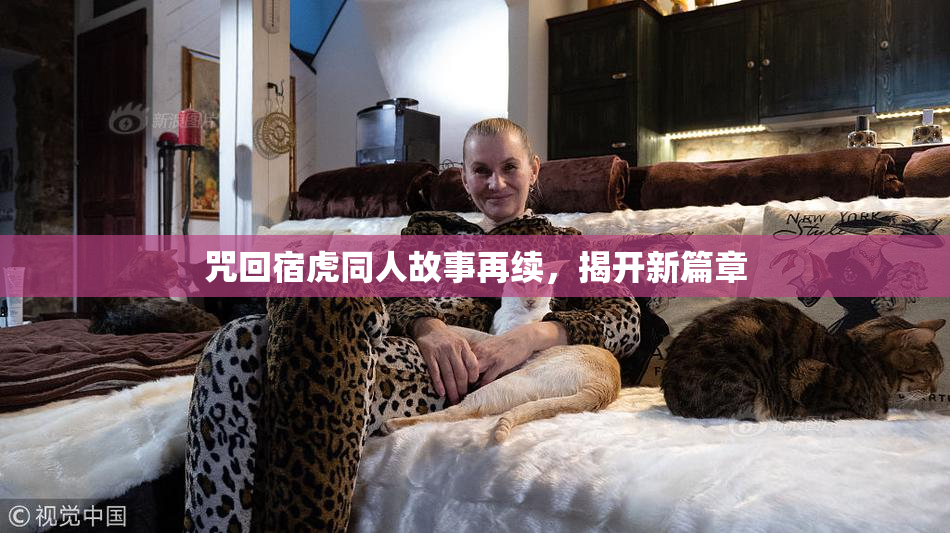 咒回宿虎同人故事再续，揭开新篇章