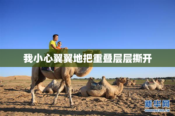我小心翼翼地把重叠层层撕开