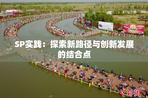 SP实践：探索新路径与创新发展的结合点