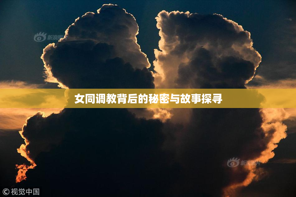 女同调教背后的秘密与故事探寻