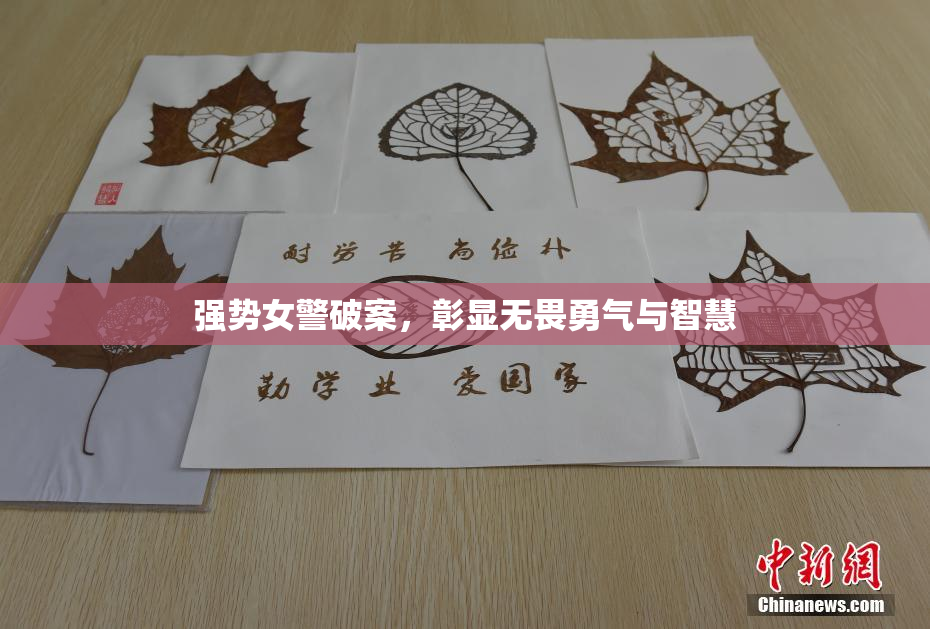 强势女警破案，彰显无畏勇气与智慧