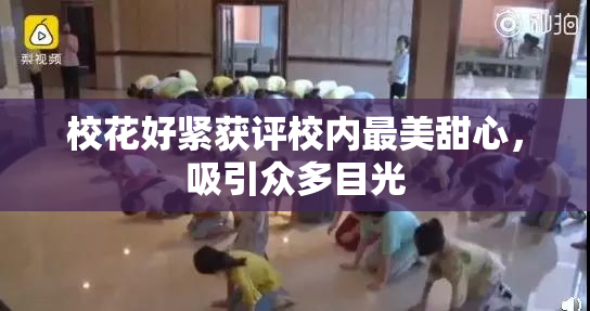 校花好紧获评校内最美甜心，吸引众多目光