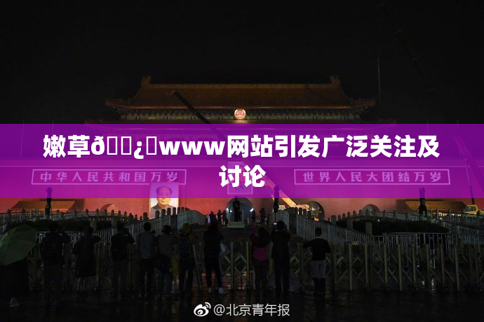 嫩草🌿‌www网站引发广泛关注及讨论