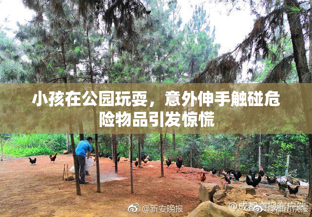 小孩在公园玩耍，意外伸手触碰危险物品引发惊慌