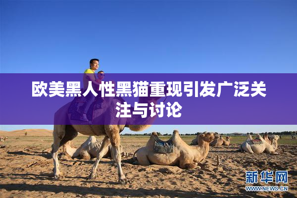 欧美黑人性黑猫重现引发广泛关注与讨论