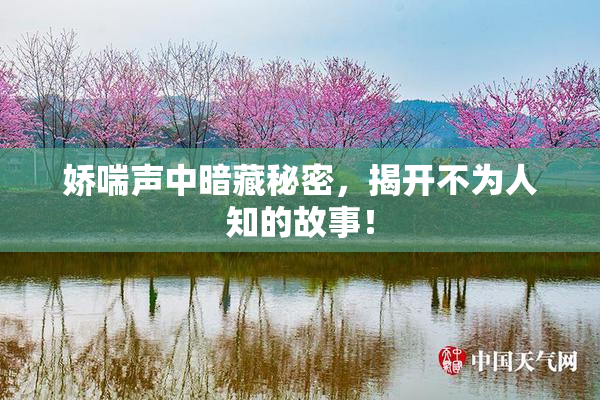 娇喘声中暗藏秘密，揭开不为人知的故事！
