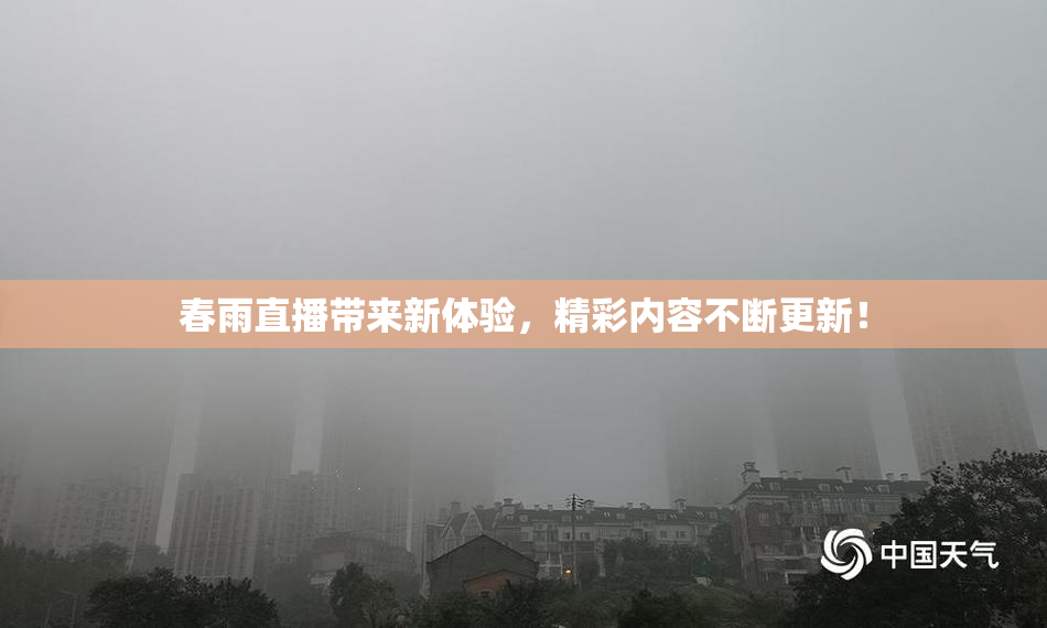 春雨直播带来新体验，精彩内容不断更新！