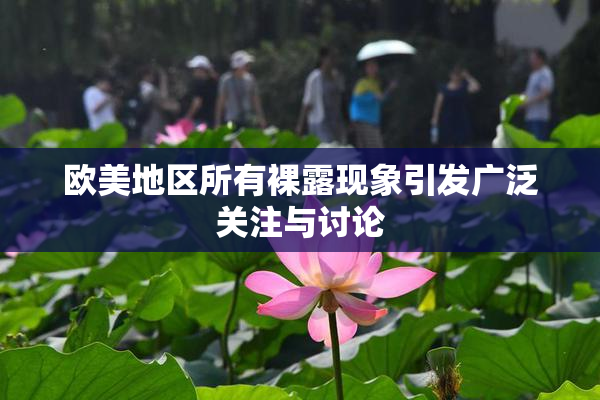 欧美地区所有裸露现象引发广泛关注与讨论