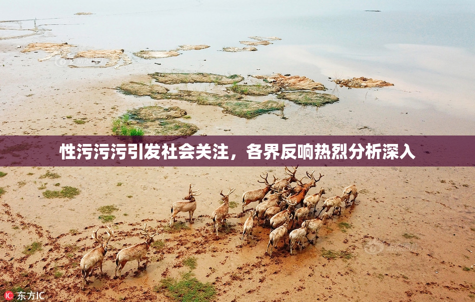 性污污污引发社会关注，各界反响热烈分析深入