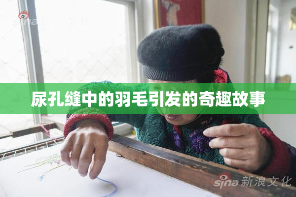 尿孔缝中的羽毛引发的奇趣故事
