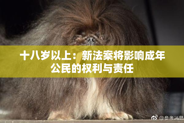 十八岁以上：新法案将影响成年公民的权利与责任