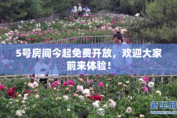 5号房间今起免费开放，欢迎大家前来体验！